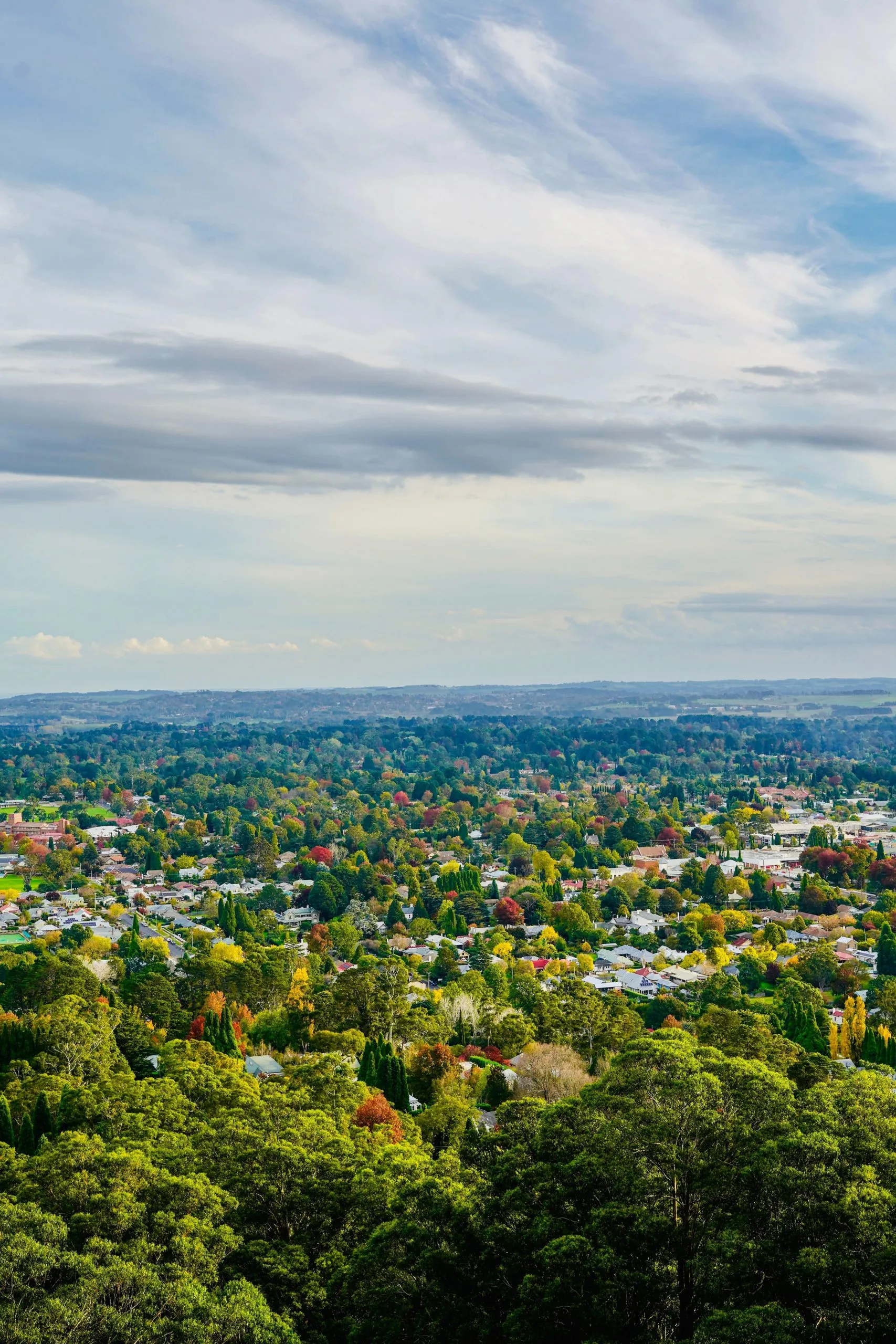 Aerial view of regional NSW township